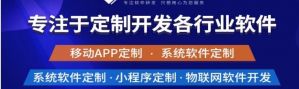揭示专业软件开发和定制公司的需求。</a>